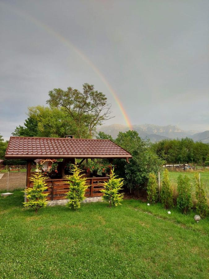 Villa Casuta Vulpitei Predelut Esterno foto